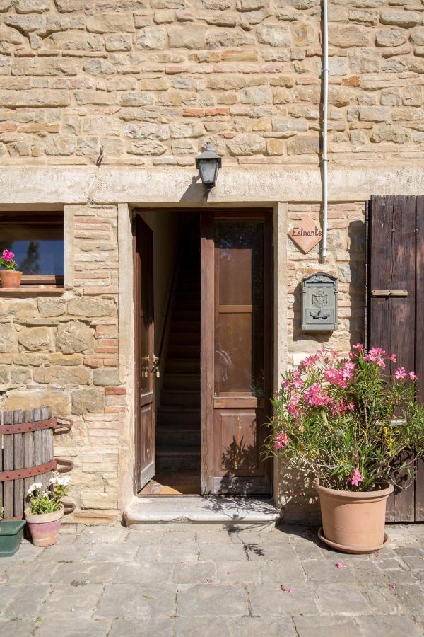 Agriturismo L'Esinante Cupramontana Eksteriør billede