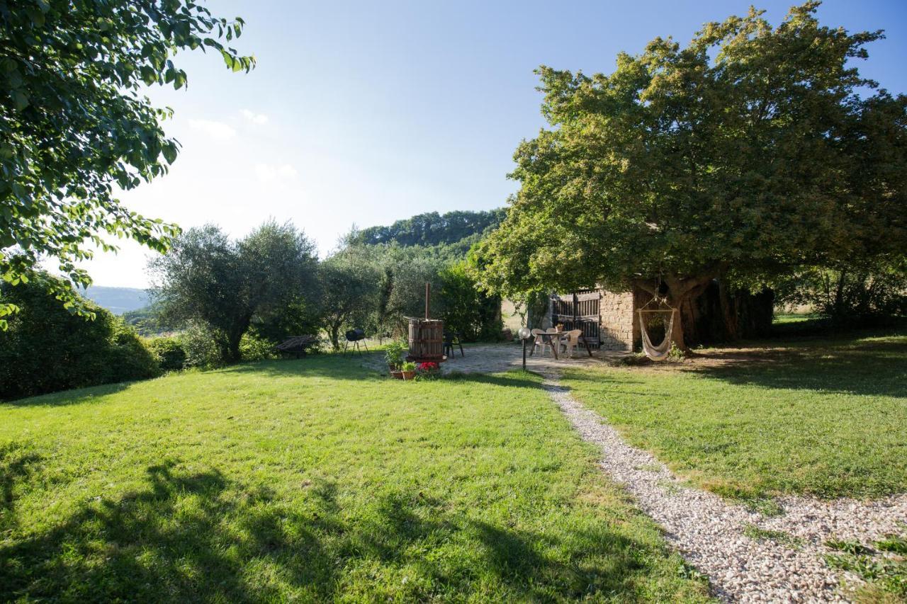 Agriturismo L'Esinante Cupramontana Eksteriør billede